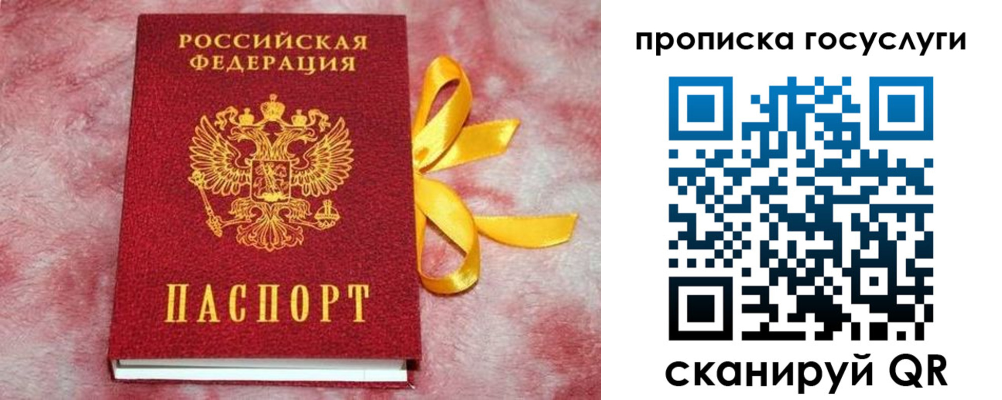 прописка законно в Шуе